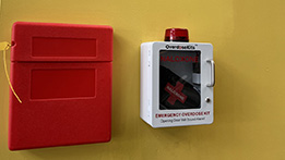 Naloxone kit